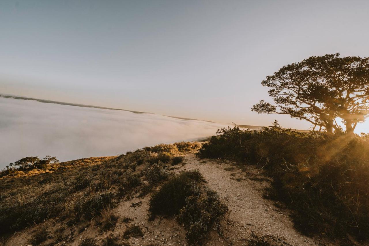 Bukela Game Lodge - Amakhala Doğa Koruma Alanı Dış mekan fotoğraf