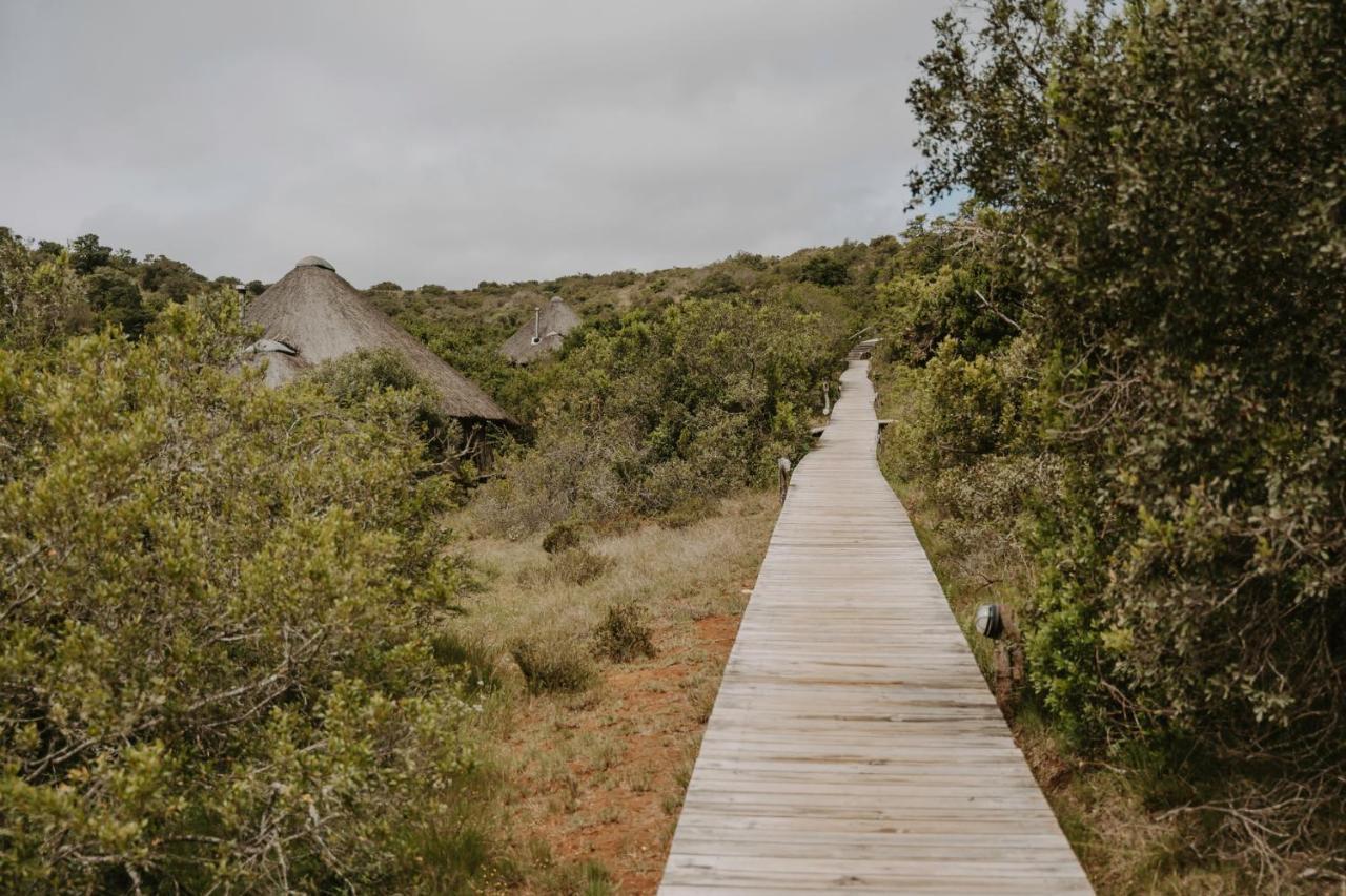 Bukela Game Lodge - Amakhala Doğa Koruma Alanı Dış mekan fotoğraf