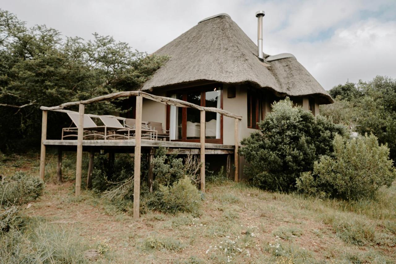 Bukela Game Lodge - Amakhala Doğa Koruma Alanı Dış mekan fotoğraf