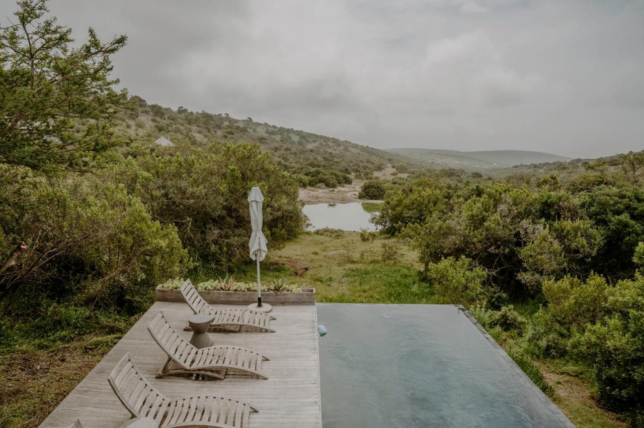 Bukela Game Lodge - Amakhala Doğa Koruma Alanı Dış mekan fotoğraf