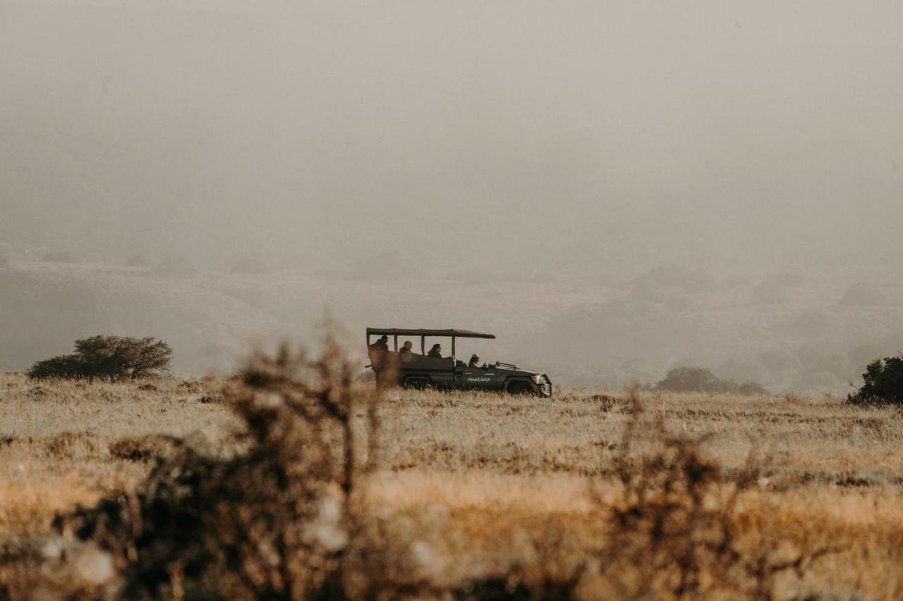 Bukela Game Lodge - Amakhala Doğa Koruma Alanı Dış mekan fotoğraf